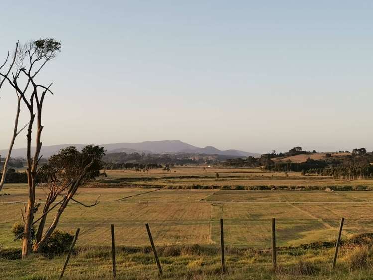 133 Colville Road Dargaville_9