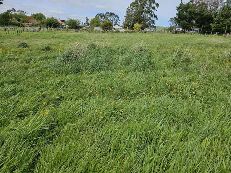 49 Bright Street Eketahuna_5