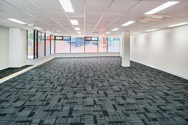 11 Aurora Terrace Wellington Central_3