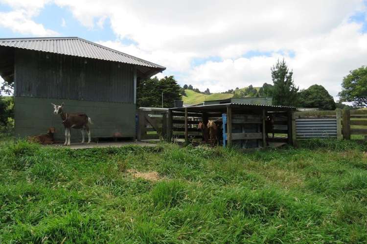 298 Tunakotekote Road Taumarunui_4