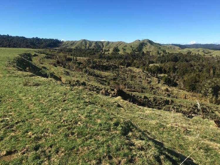 1427 Waitaanga Road Ohura_4