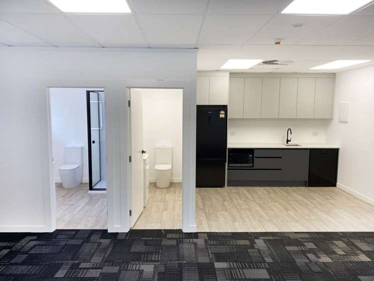 25 Minnie Street Eden Terrace_5