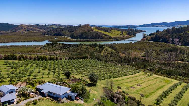 125b Frantoio Ridge Road Mangonui_25