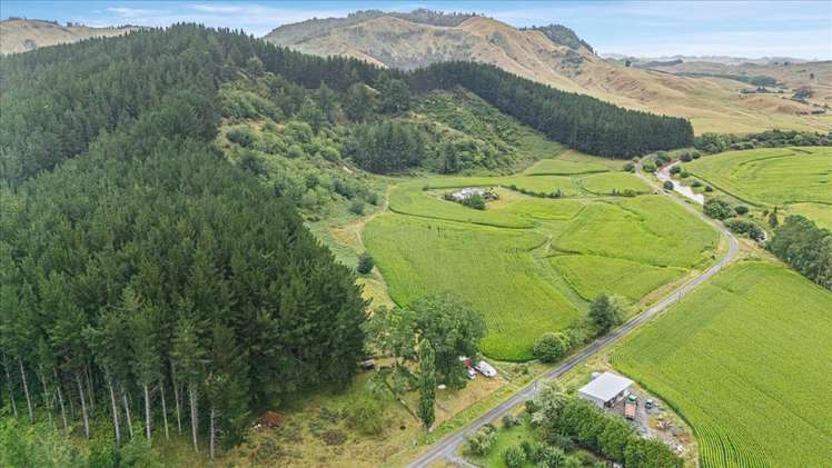 280 Kaitaringa Road Aria_27