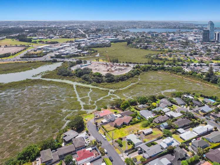 2 Francis Street Hauraki_8