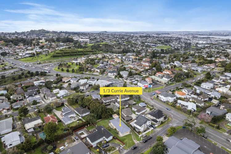 1/3 Currie Avenue Hillsborough_20