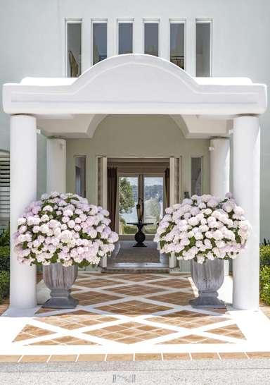 91 & 95 Sarsfield Street_2