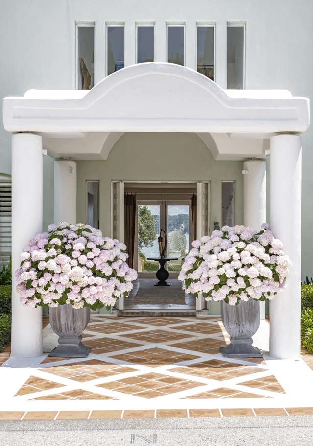 91 & 95 Sarsfield Street Herne Bay_2