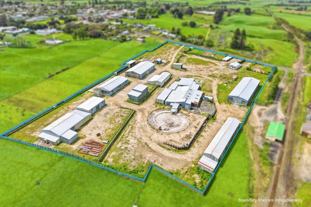 34 Oturi Road Waverley_1