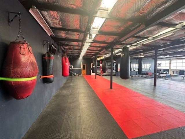 3-5 Rendall Place Eden Terrace_1