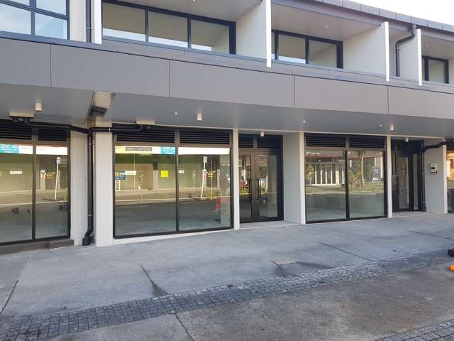 Shop 3 14 Todd Street New Lynn_1