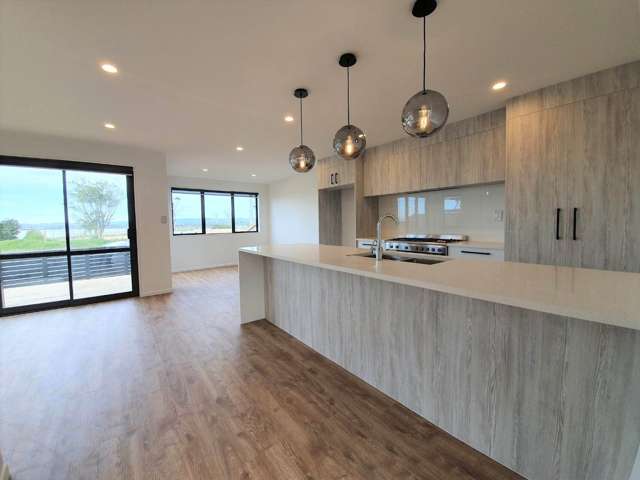 3 Aviation Drive Hobsonville_1