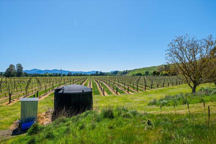 191 Tyntesfield Road Waihopai Valley_54