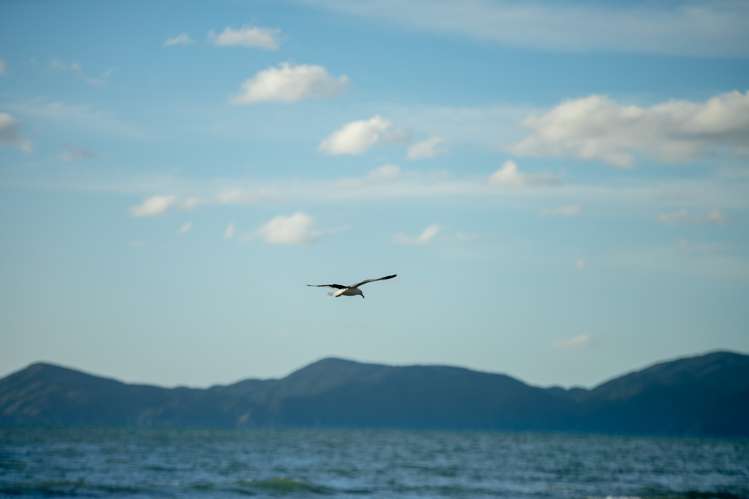 52 Ames Street Paekakariki_20