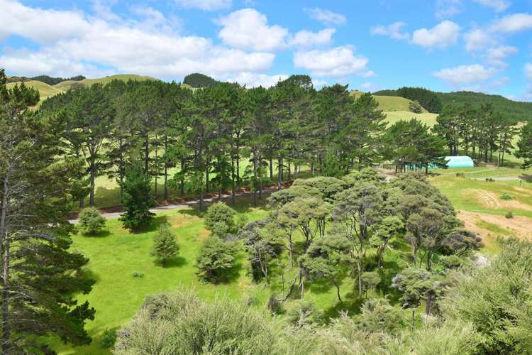 708 Wilson Road South Head_16