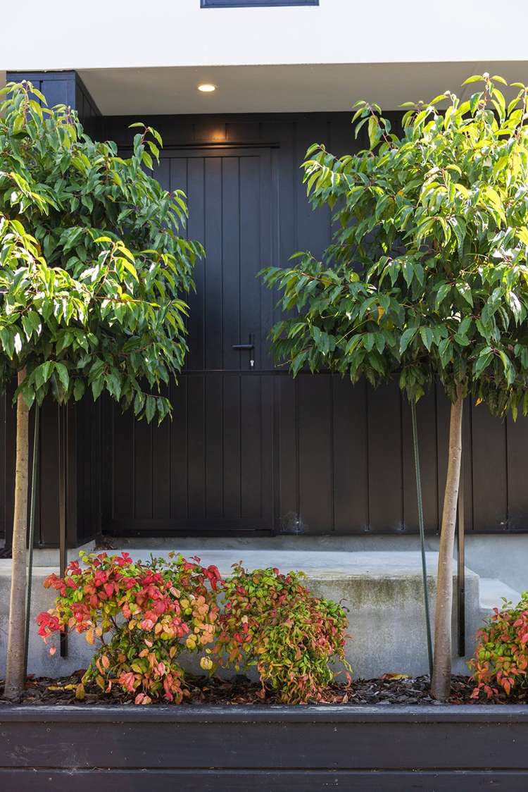 100A Rossall Street Merivale_21