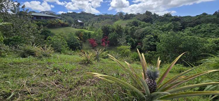 Address withheld Savusavu_27