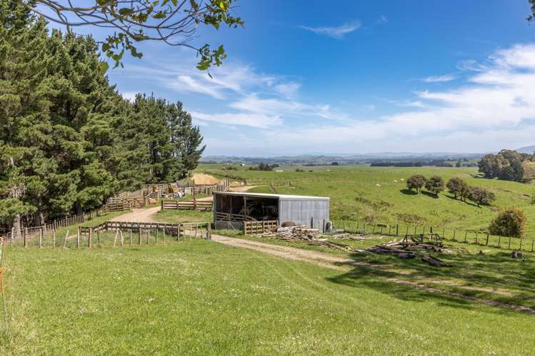 26 Carlson Road Dannevirke_14