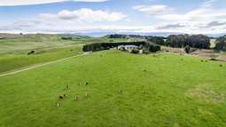 Quality beef grazing and finishing farm