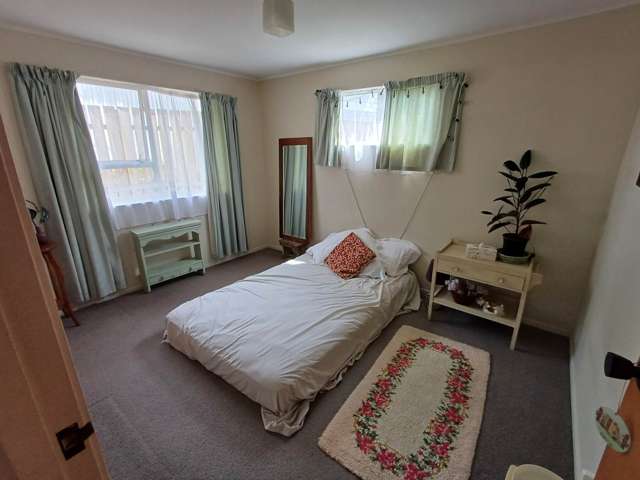 3 Tesla Place Totara Vale_3
