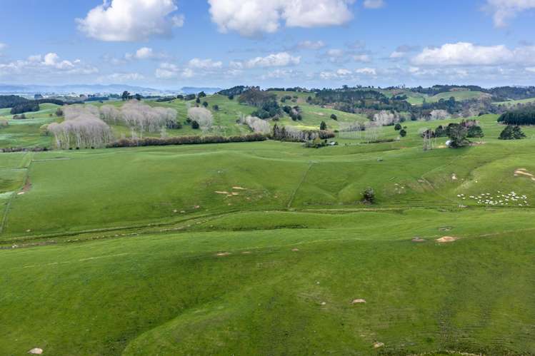1698 Hetherington Road Huntly_31