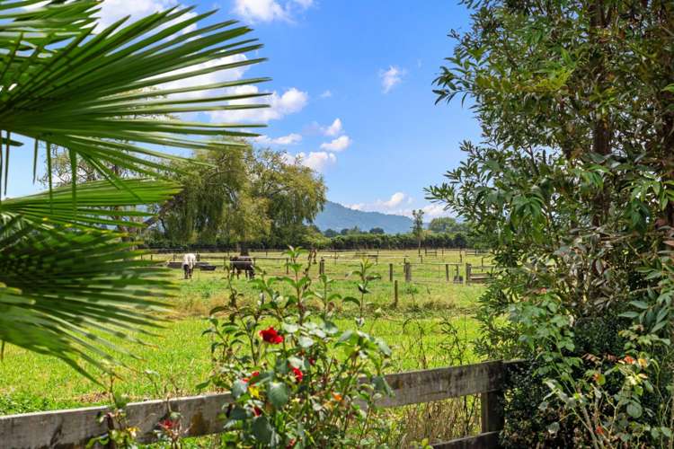 500 Horotiu Road Te Kowhai_20