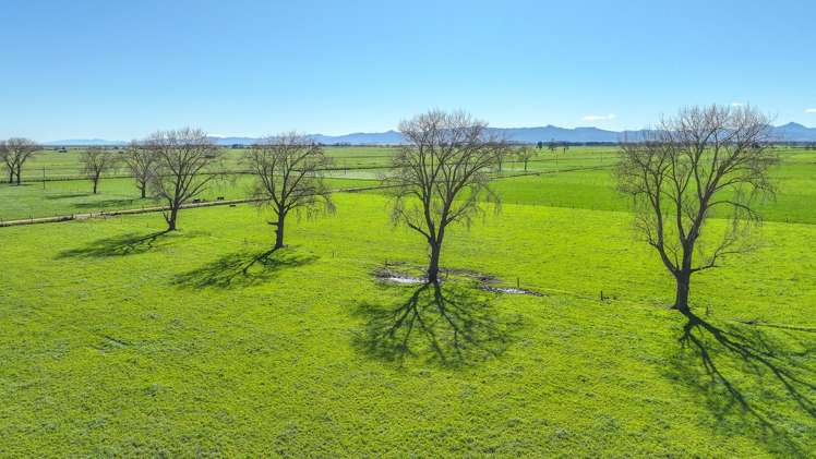 165 Canal Road East Waitakaruru_7