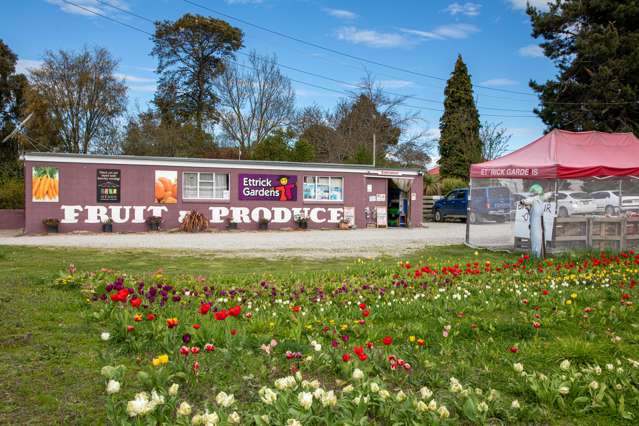 5104 Roxburgh - Ettrick Road Ettrick_2