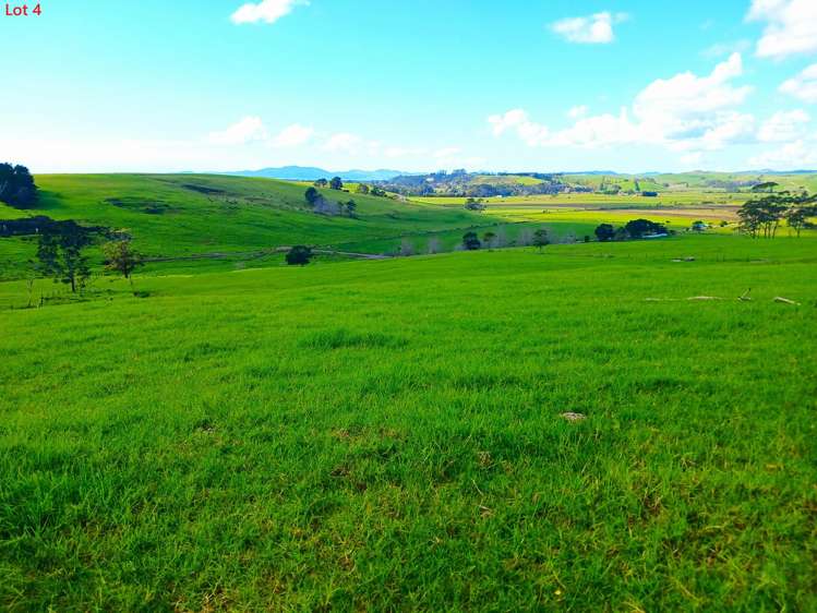 Lots 1-4 Tahanga Road Lake Ohia_4