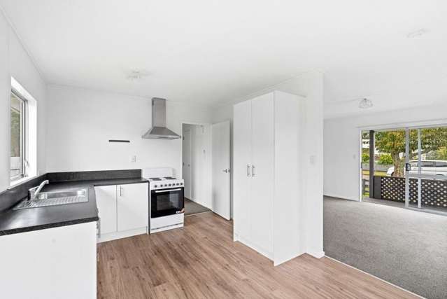 9 Guy Avenue Levin_1