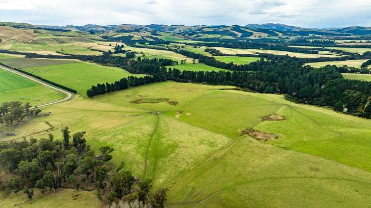 1553 Happy Valley Road Motunau_6