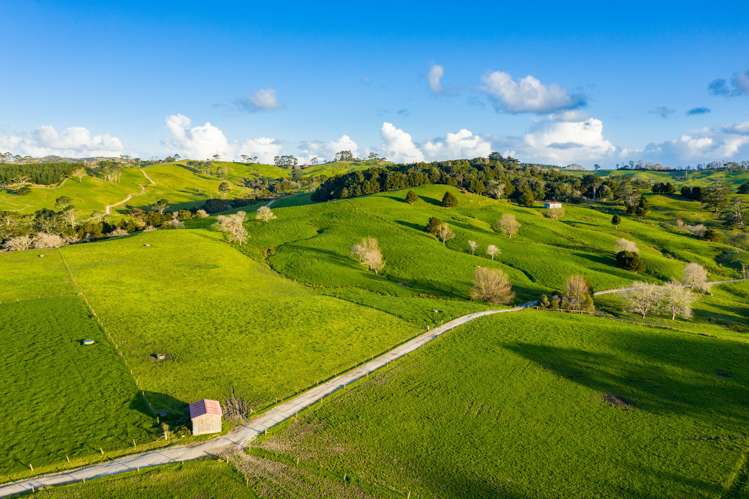 400 Partridge Road Wellsford_11