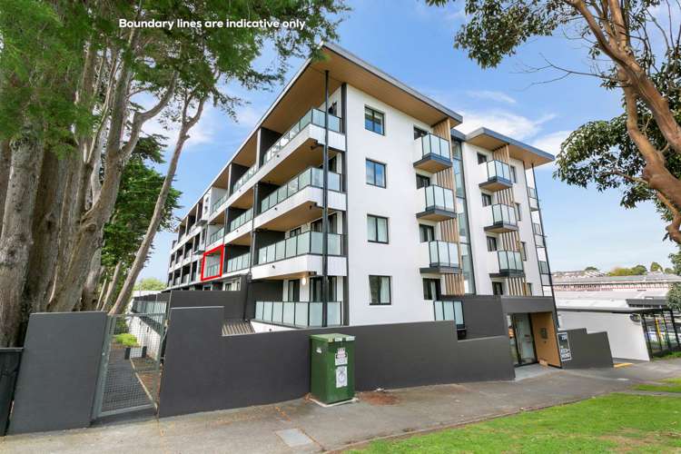 2c/250 Richmond Road Grey Lynn_11