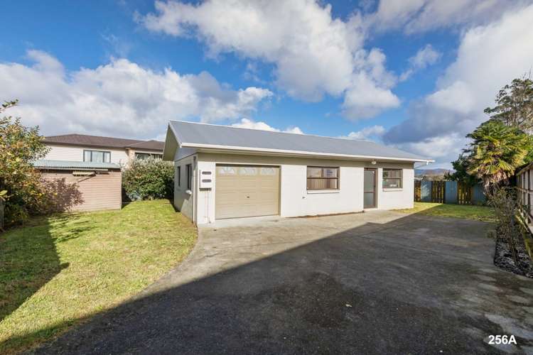 256 Te Atatu Road Te Atatu South_1
