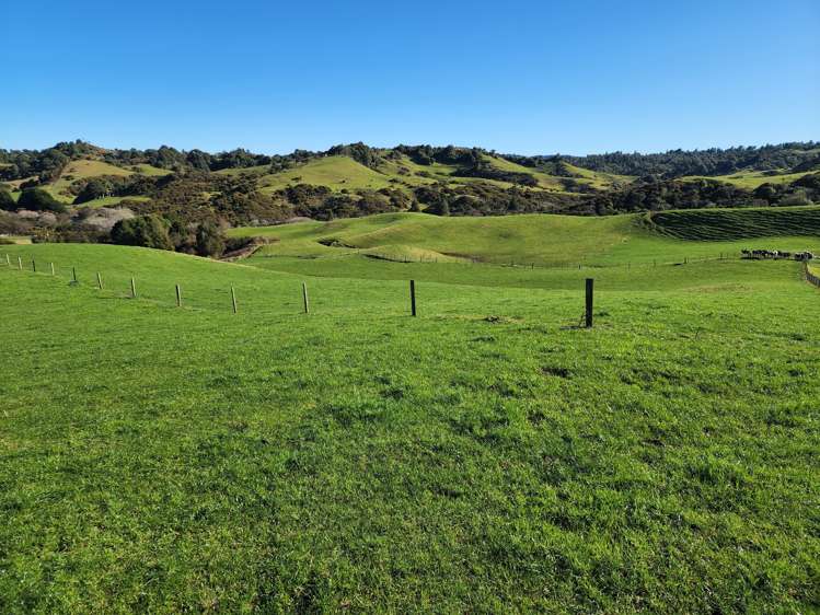 Te Anga Road Waitomo_15