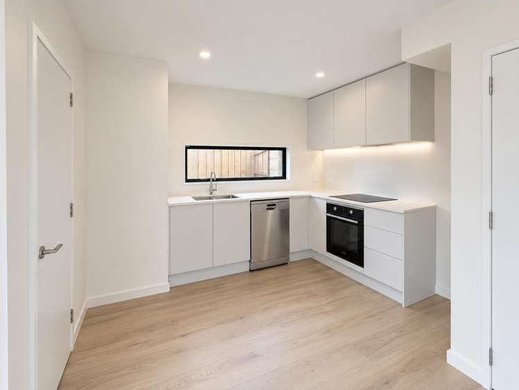 106 Brougham Street_2