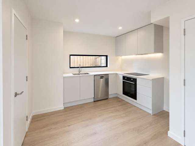 106 Brougham Street Addington_3