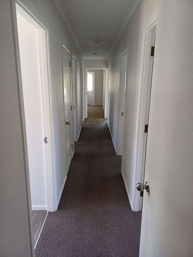 23 McVay Street Napier South_4