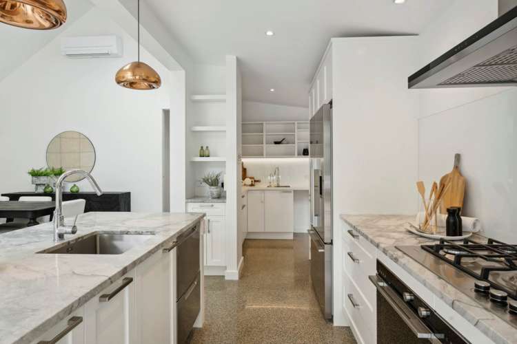 6 Elam Street Parnell_5