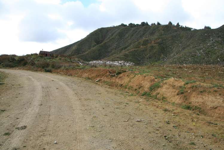 0n Makakaho Road Ngamatapouri_14