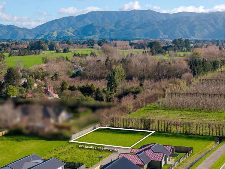 4B Stevens Drive Greytown_5