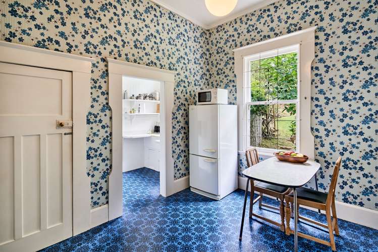 17 Grass Street Oriental Bay_8