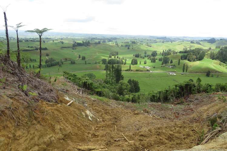 Waitomo Valley Road Otorohanga_5