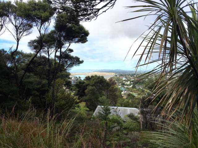 71 Cullen Street Mangawhai Heads_3