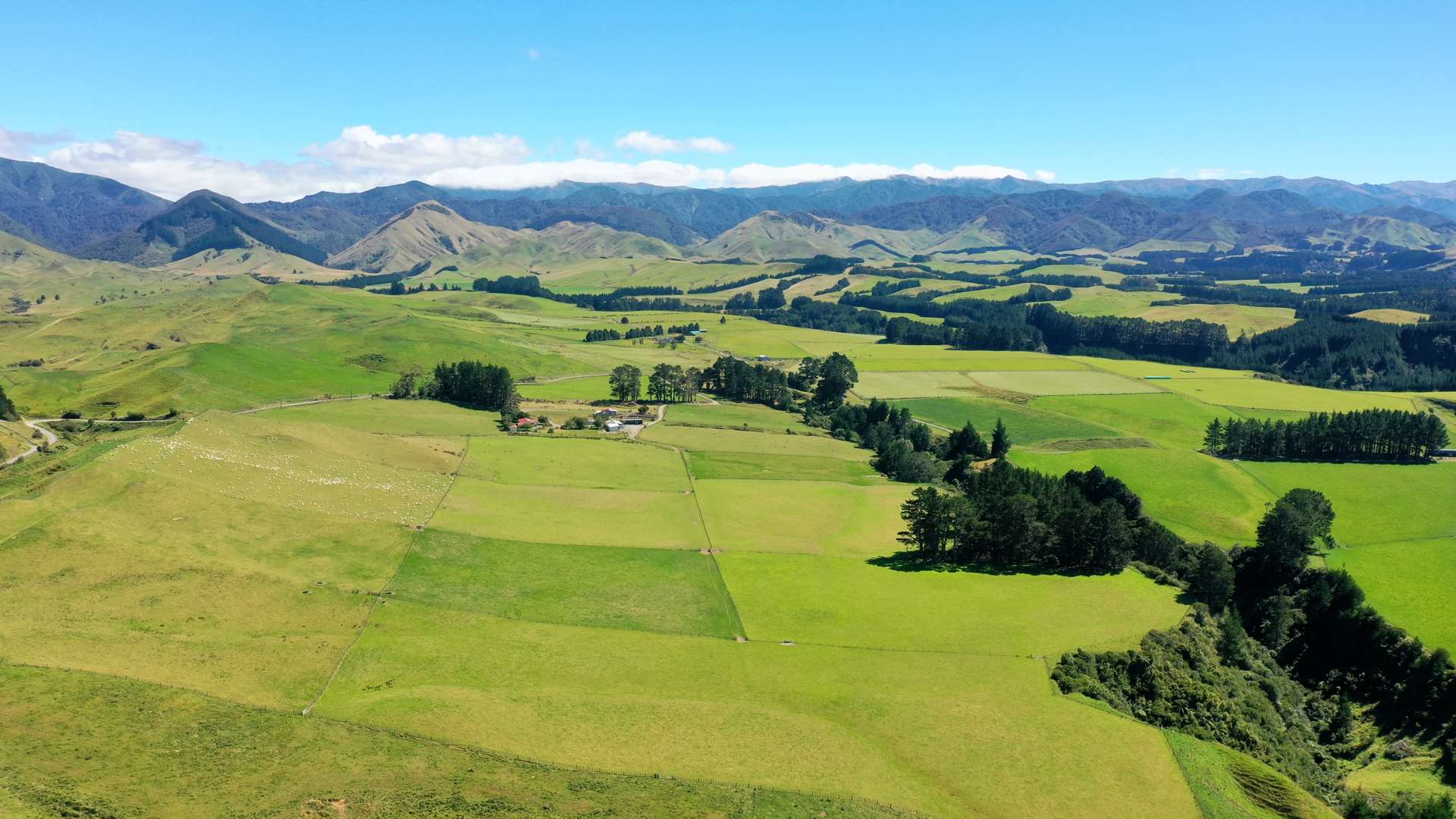 412 France Road Matamau_0