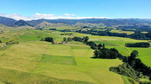 Prime opportunity of 132 hectares