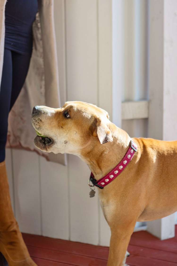 20A Tiora Place Upper Riccarton_21