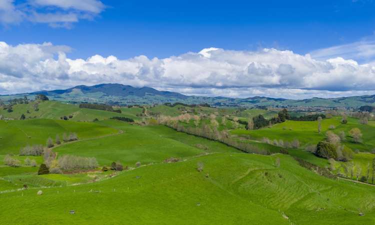 4/366 Karapiro Road Karapiro_3