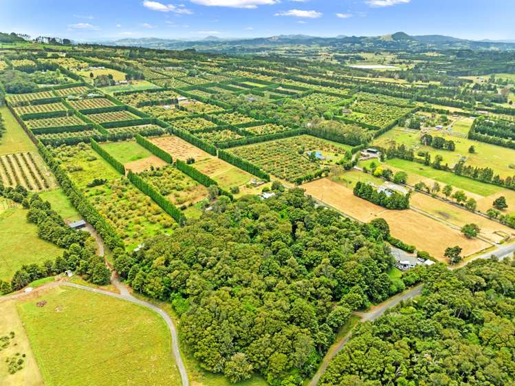 48 Whatitiri Road Maungatapere_14