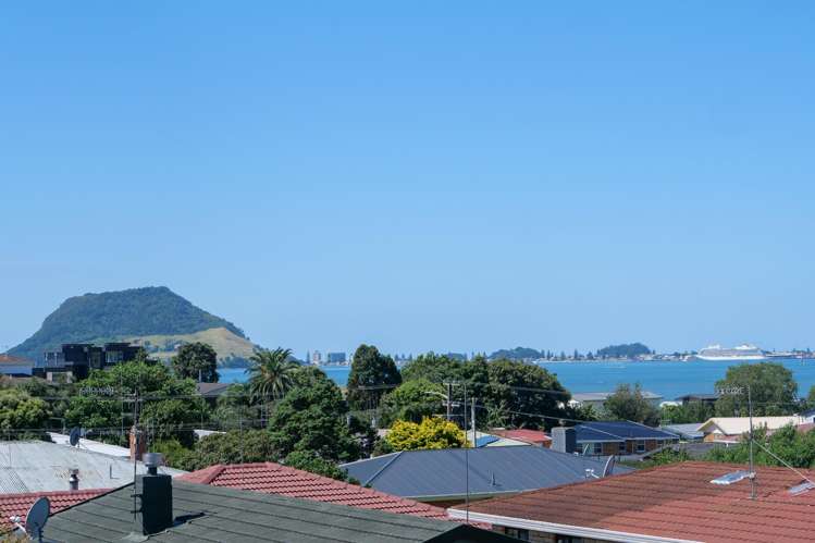 20 Laing Place Otumoetai_8